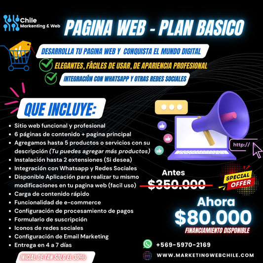 Plan Basico - Desarrollo de Pagina Web